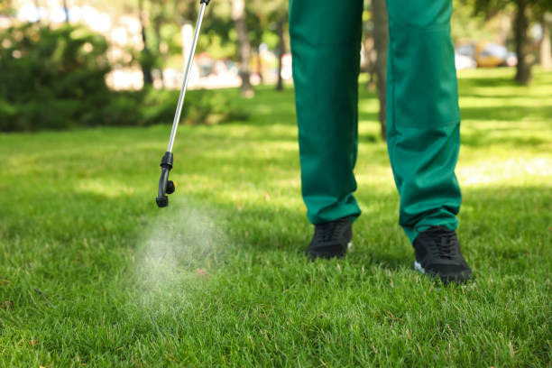Best Pest Removal Services  in Southmont, PA