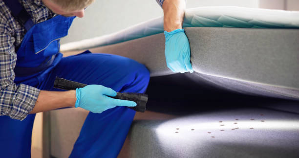Best Emergency Pest Control  in Southmont, PA