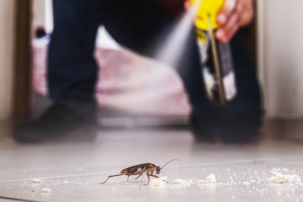 Best Cockroach Control Services  in Southmont, PA