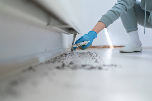 Best Exterminator Services  in Southmont, PA